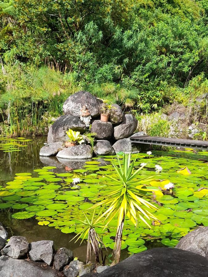 Gite La Cascade Blanche Villa Salazie Eksteriør bilde